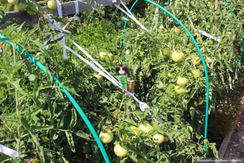 Фея в саду. Часть 3 — Игровые мини