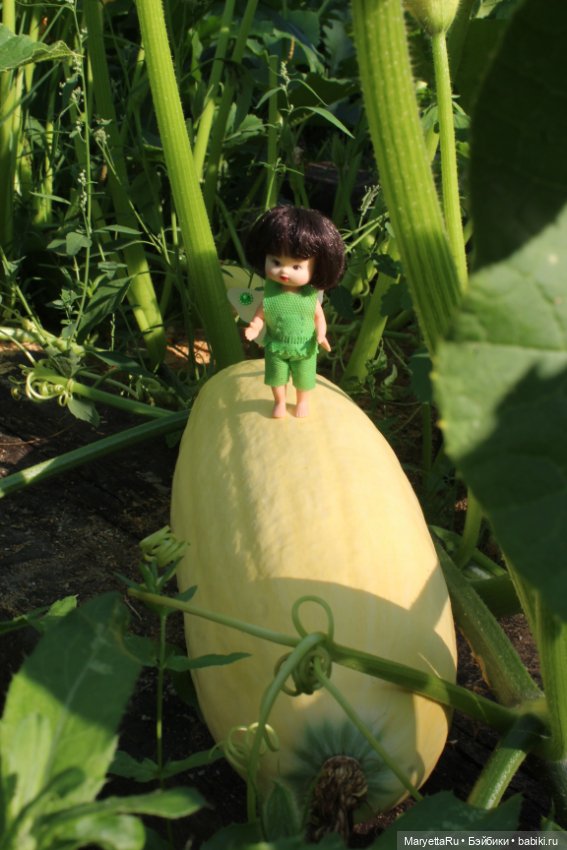 Фея в саду. Часть 3 — Игровые мини