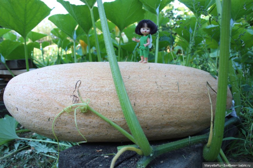 Фея в саду. Часть 3 — Игровые мини