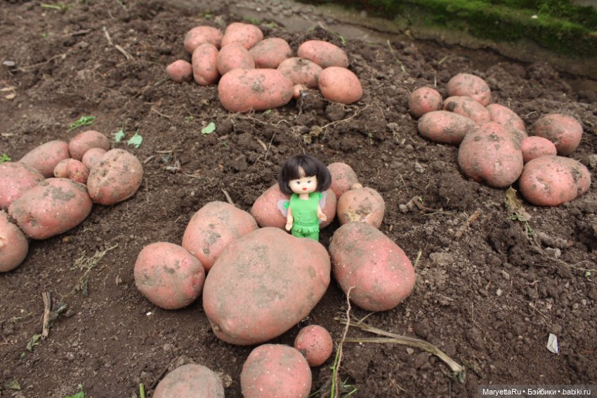 Фея в саду. Часть 3 — Игровые мини (фото 4)