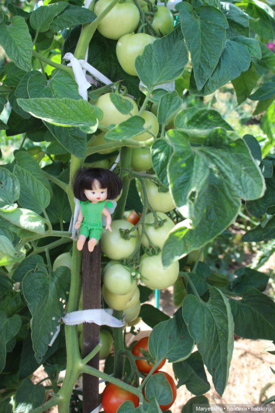 Фея в саду. Часть 3 — Игровые мини