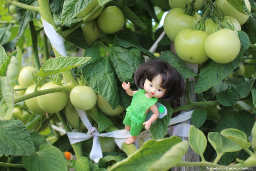 Фея в саду. Часть 3 — Игровые мини