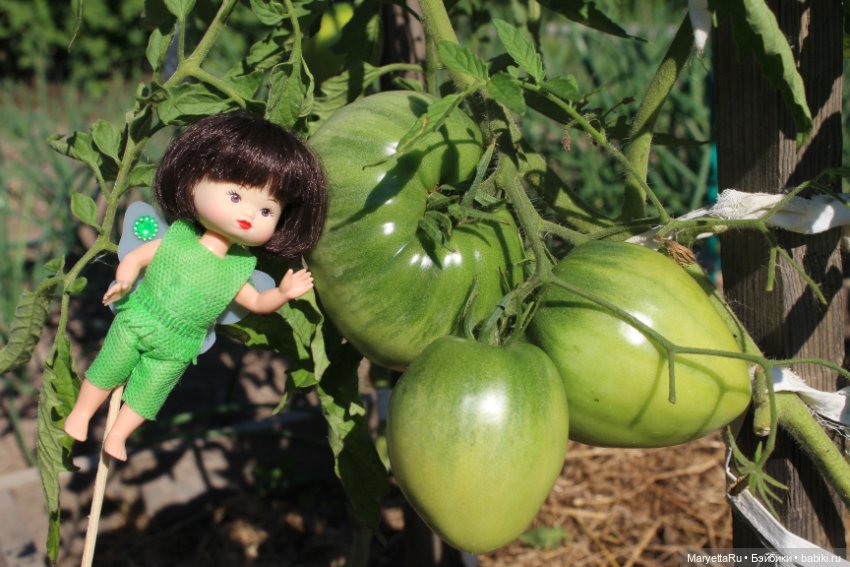 Фея в саду. Часть 3 — Игровые мини