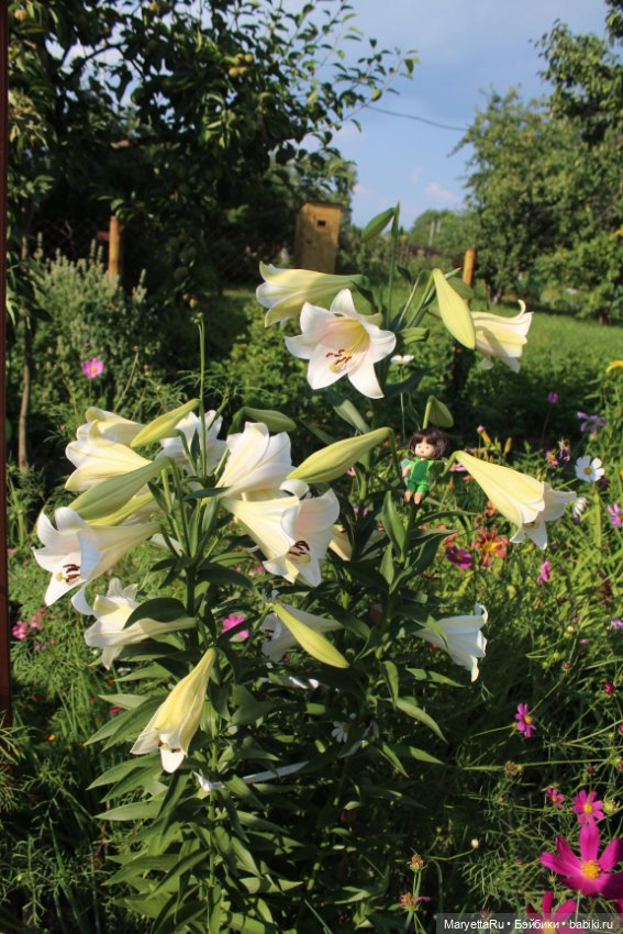 Фея в саду. Часть 5 — Игровые мини