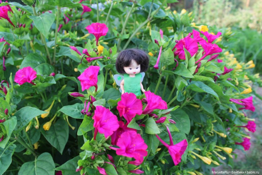 Фея в саду. Часть 5 — Игровые мини