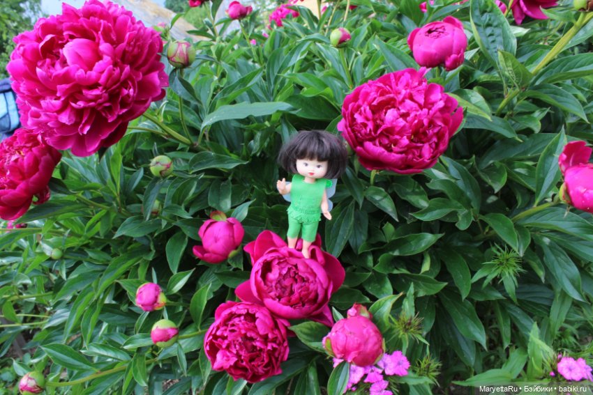 Фея в саду. Часть 5 — Игровые мини