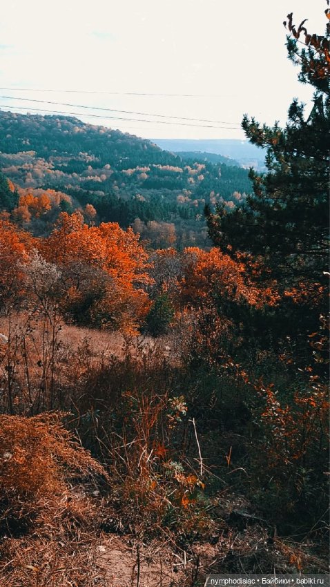 Осень в компании Джун (Anna Frozen на Barbie MTM Curvy)