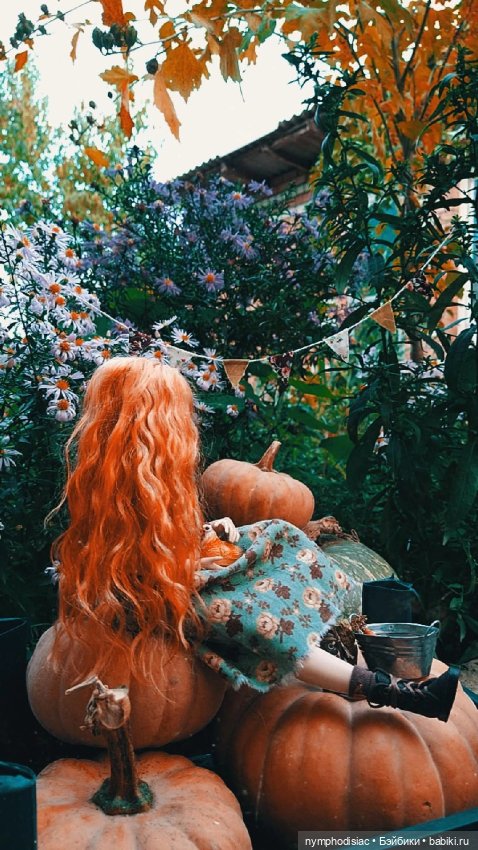 Осень в компании Джун (Anna Frozen на Barbie MTM Curvy) (фото 10)