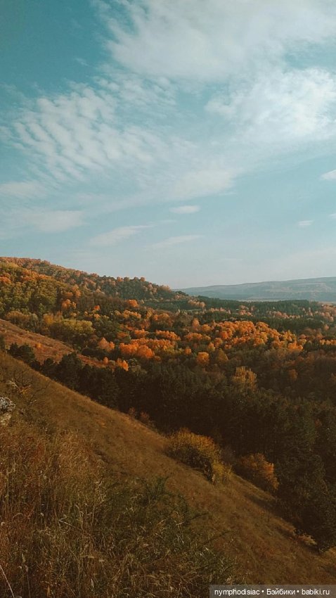 Осень в компании Джун (Anna Frozen на Barbie MTM Curvy)