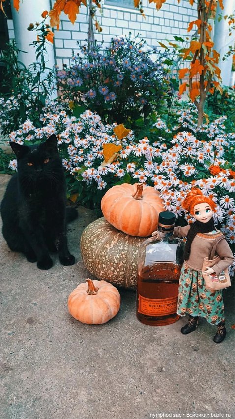 Осень в компании Джун (Anna Frozen на Barbie MTM Curvy)