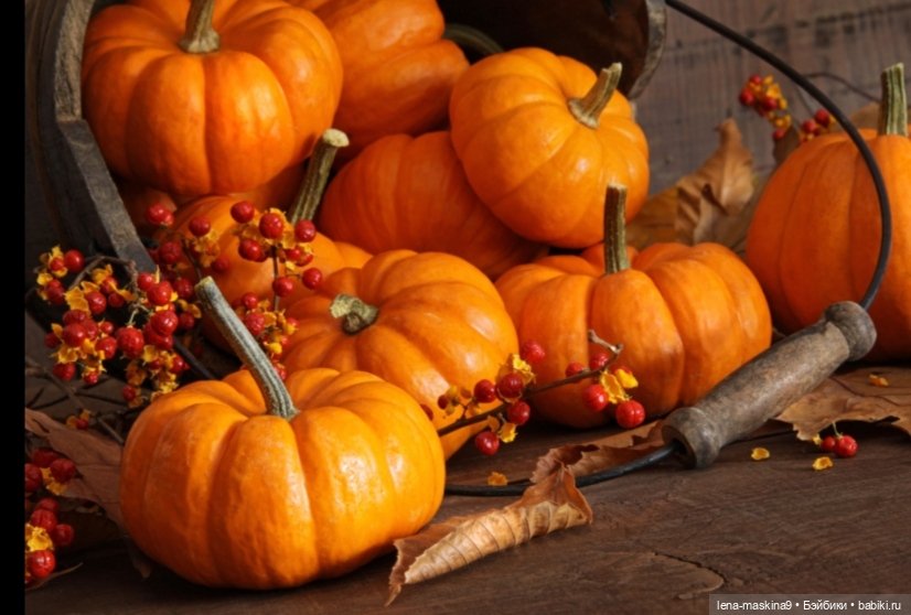 Поделки из тыквы — Другие хобби и увлечения: сад