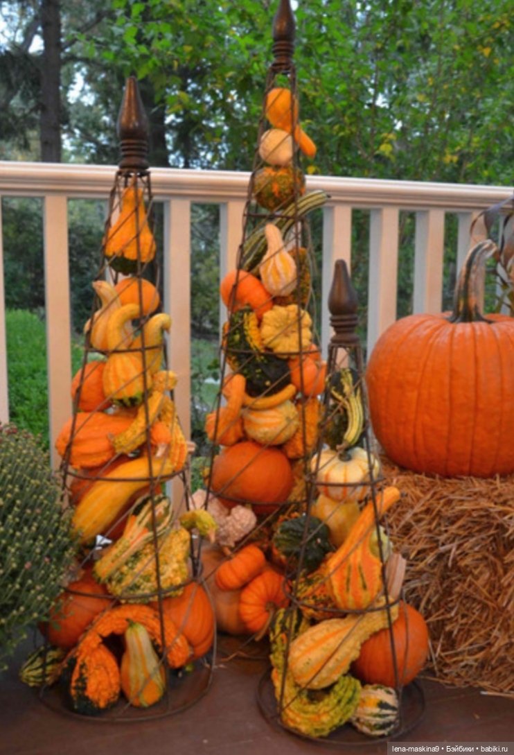 Поделки из тыквы — Другие хобби и увлечения: сад