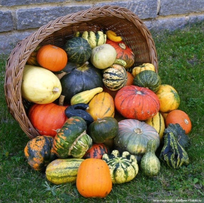 Поделки из тыквы — Другие хобби и увлечения: сад