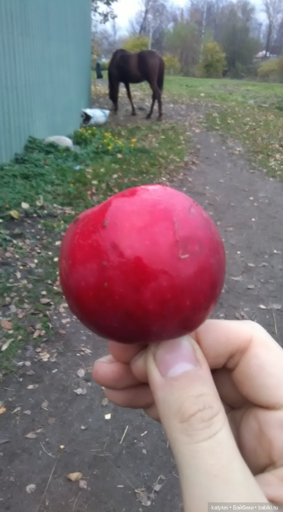 С листиками (1) — Интересные игрушки и фигурки (разное): редкие