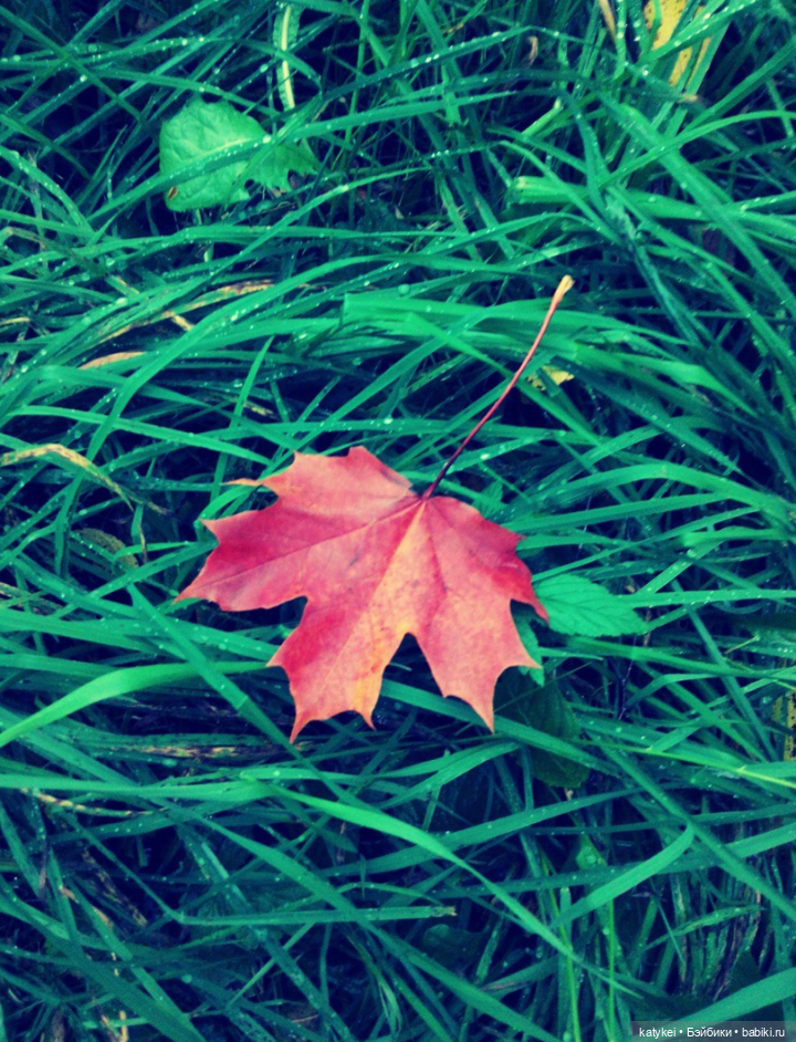 С листиками (1) — Интересные игрушки и фигурки (разное): редкие