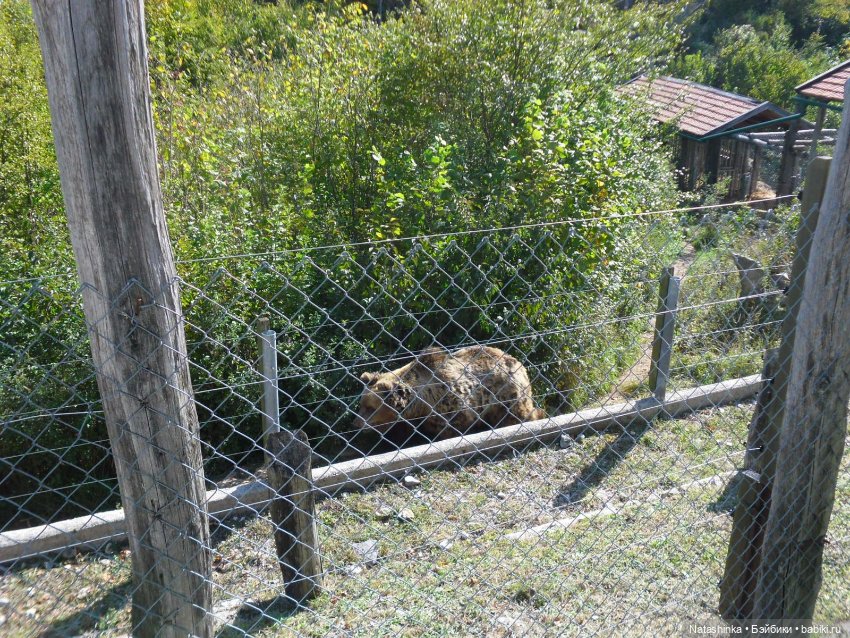 Fashion Dolls 274 — Болталка и разговоры обо всем: жизнь (фото 6)