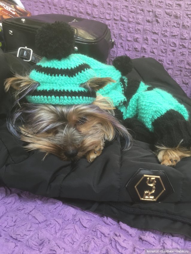 Осенние забавы — Другие хобби и увлечения: сад (фото 7)