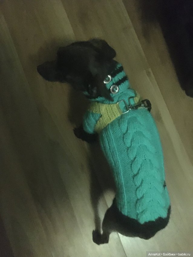 Осенние забавы — Другие хобби и увлечения: сад (фото 10)