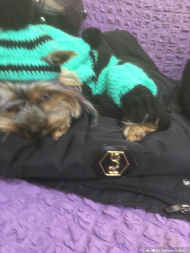 Осенние забавы — Другие хобби и увлечения: сад (фото 8)