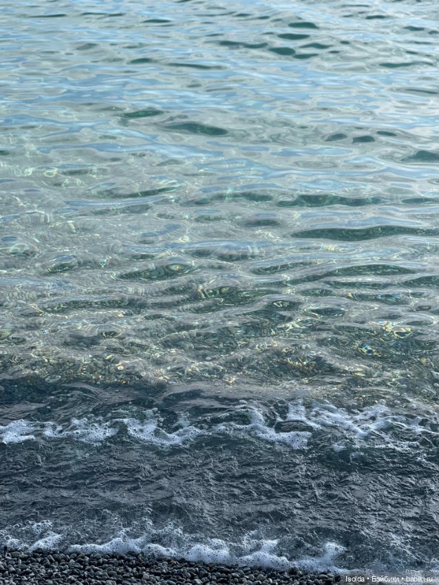 Прогулки с Соней (студио милим) (фото 9)