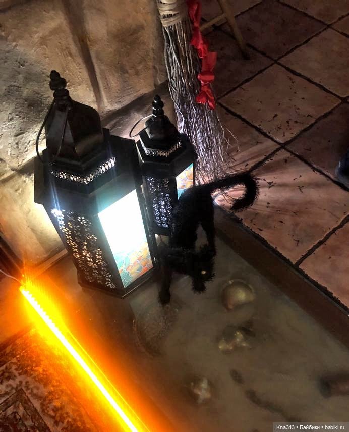 Наш случайный "Хеллоуин" — Болталка и разговоры обо всем: жизнь (фото 5)