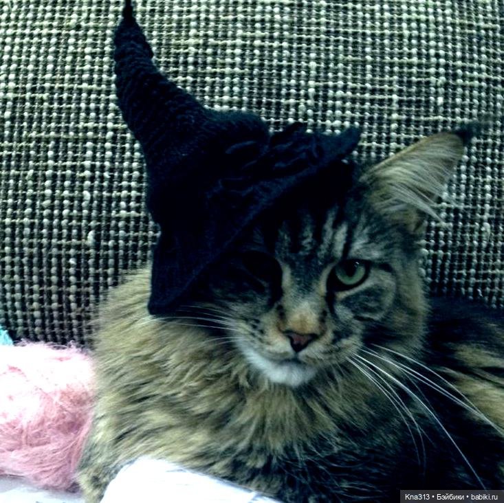 Наш случайный "Хеллоуин" — Болталка и разговоры обо всем: жизнь