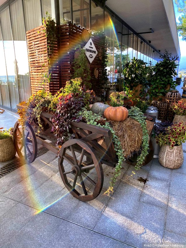 Наш случайный "Хеллоуин" — Болталка и разговоры обо всем: жизнь