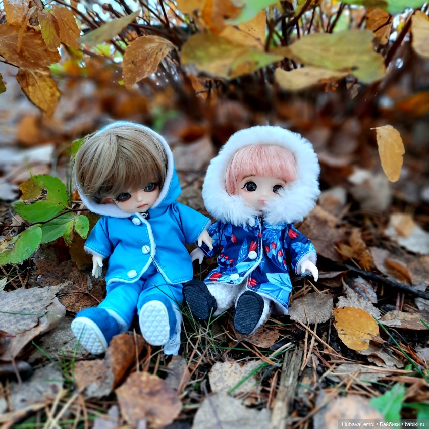 Первый снег позвал гулять