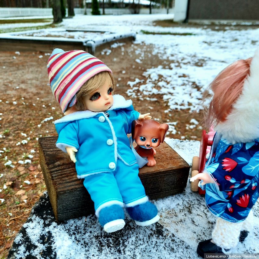 Первый снег позвал гулять (фото 4)