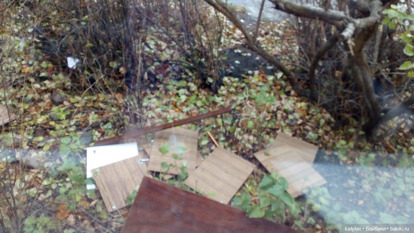 Пространство (челендж) 6 — Болталка и разговоры обо всем: жизнь (фото 4)