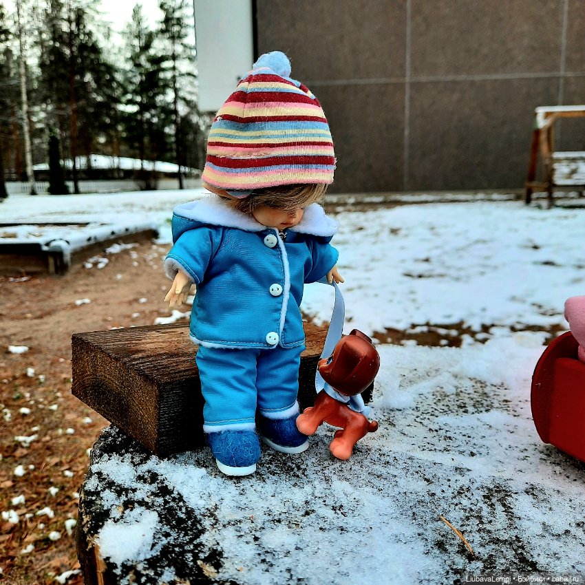 Первый снег позвал гулять (фото 2)