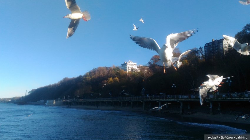 Хэллоуин-Самайн — Куклы Milim Studio (Милим): российские БЖД (фото 9)