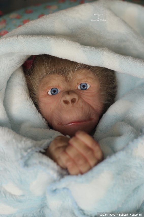 Обезьянка Чика. Молд Hillary by Jade Warner