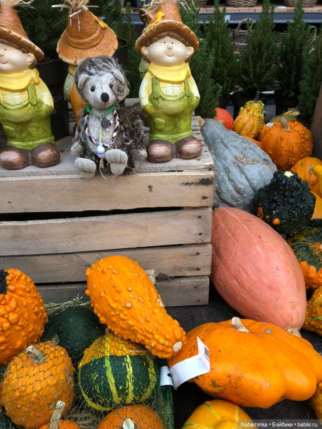 Fashion Dolls 276 — Туризм и путешествия: фотоотчеты из поездок