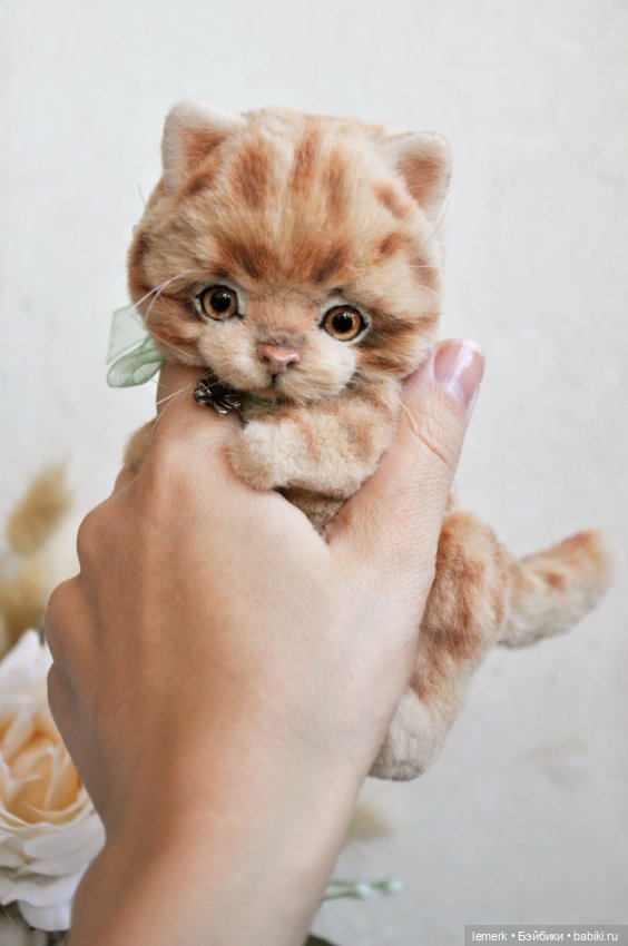 Рыжий, усатый, весь полосатый. Котенок тедди Клевер, на удачу (фото 3)
