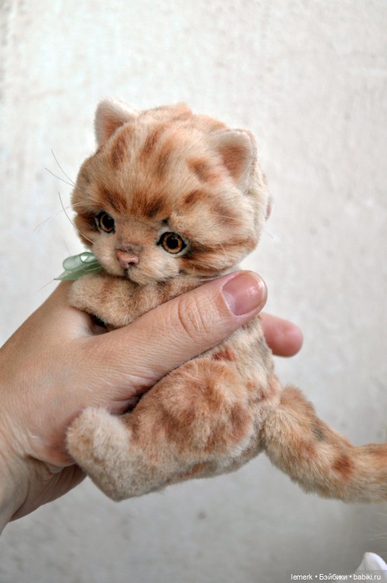 Рыжий, усатый, весь полосатый. Котенок тедди Клевер, на удачу (фото 2)