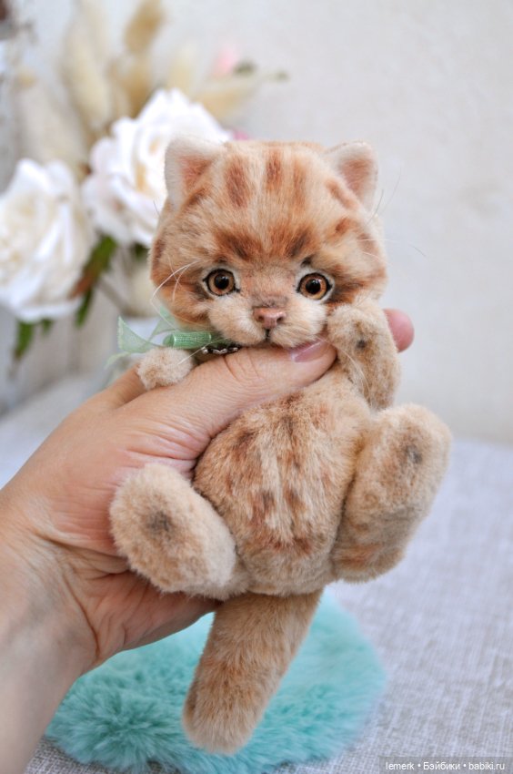 Рыжий, усатый, весь полосатый. Котенок тедди Клевер, на удачу (фото 5)