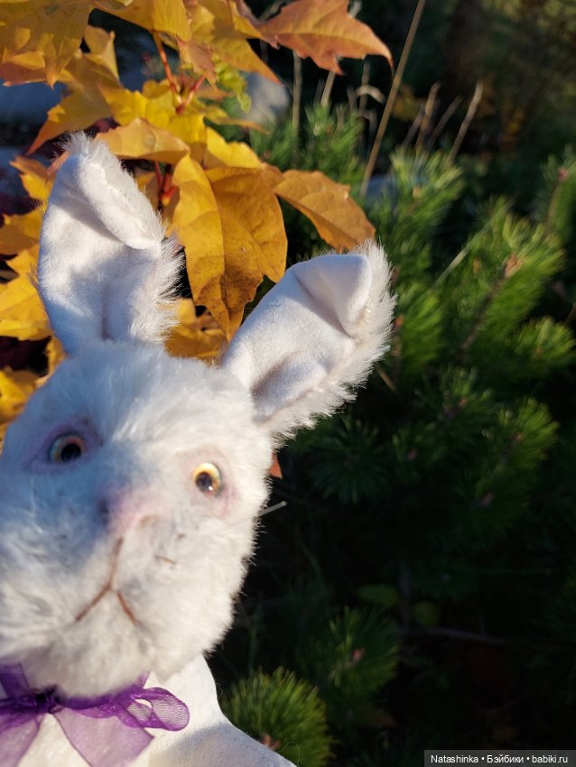 Fashion Dolls 277 — Куклы Звезды подиума (Angel Collection): шарнирные (фото 7)