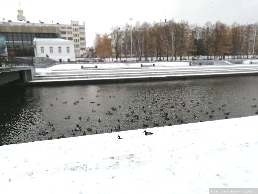 Прогулка с мини-химочками