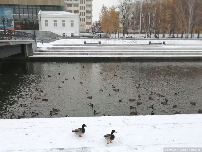 Прогулка с мини-химочками