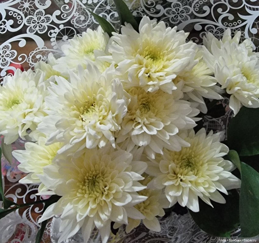 Хэллоуин или день рождения