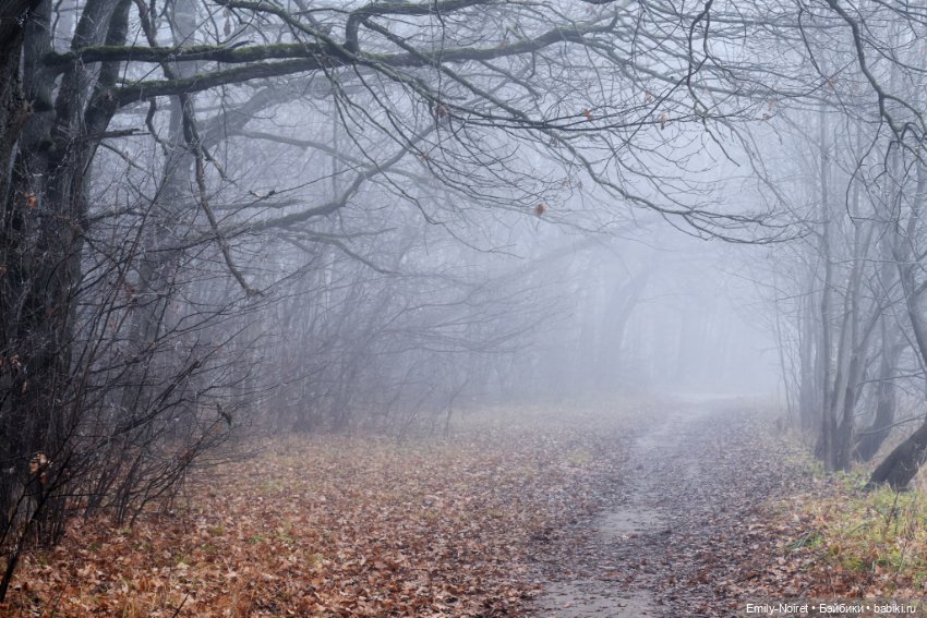 Девочка в тумане — Аниме куклы (MJD/Винил): Imomo