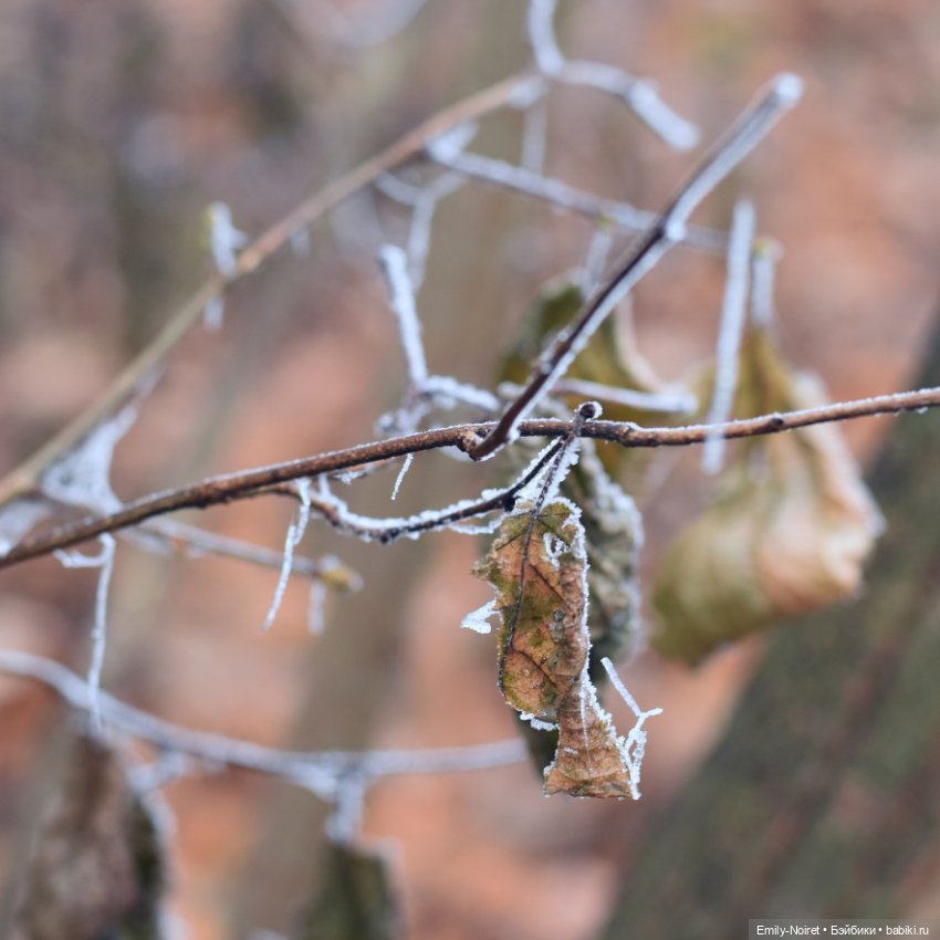 Девочка в тумане — Аниме куклы (MJD/Винил): Imomo (фото 9)