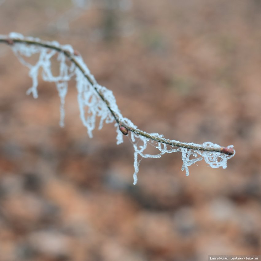 Девочка в тумане — Аниме куклы (MJD/Винил): Imomo (фото 10)