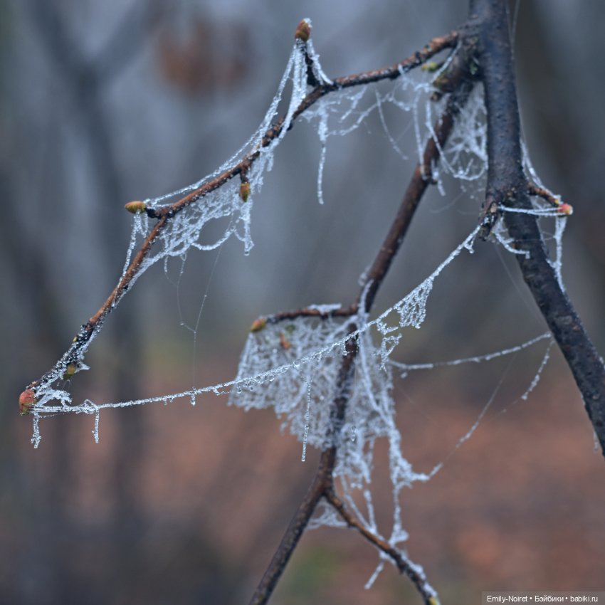 Девочка в тумане — Аниме куклы (MJD/Винил): Imomo (фото 7)
