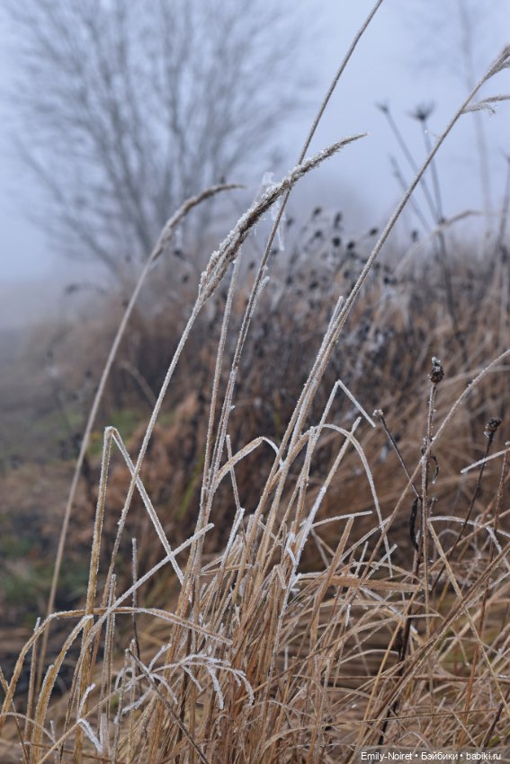 Девочка в тумане — Аниме куклы (MJD/Винил): Imomo