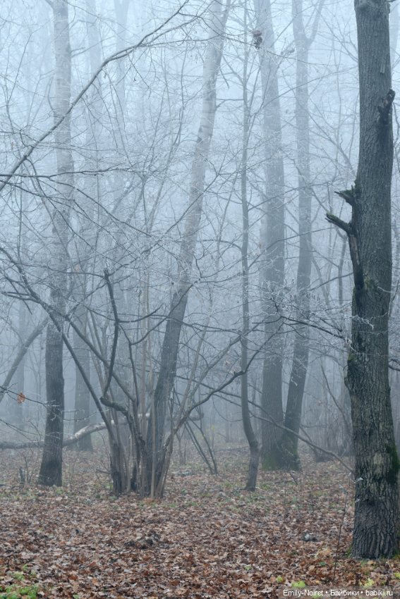 Девочка в тумане — Аниме куклы (MJD/Винил): Imomo