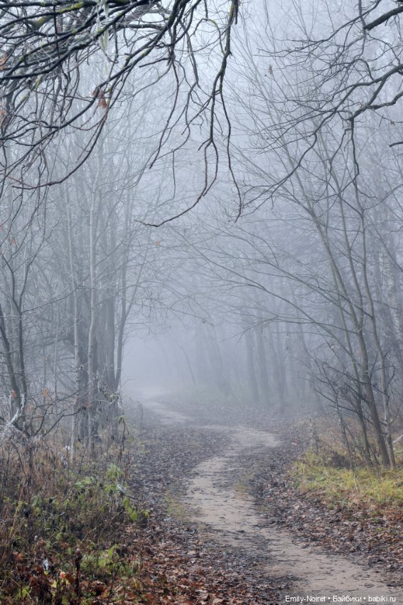 Девочка в тумане — Аниме куклы (MJD/Винил): Imomo