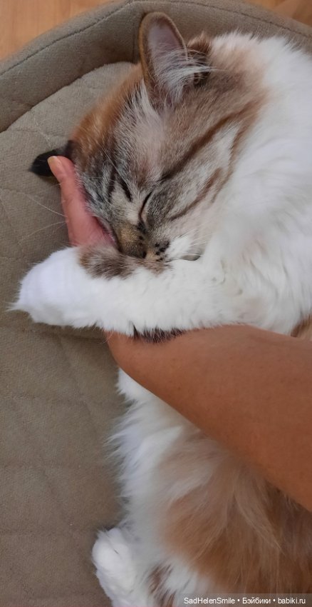 Блайз tbl Аля устала играть (фото 9)