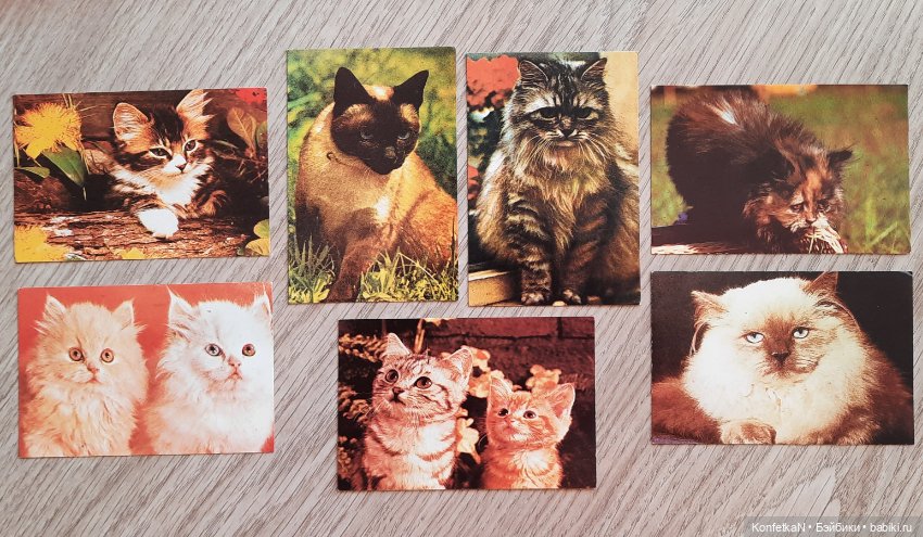 Карманные календарики. Часть первая